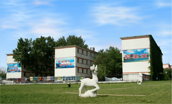 ɽ�|ú̿�l���WУ2017�괺�������᣿