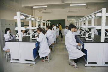 �����ЌW�����F�t�ČWУ�᣿