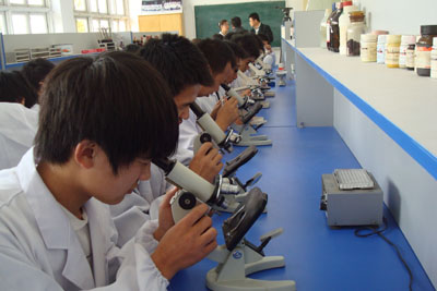 ɽ�|�F(xi��n)�������F�t(y��)���ތW(xu��)У��ô�ӣ�