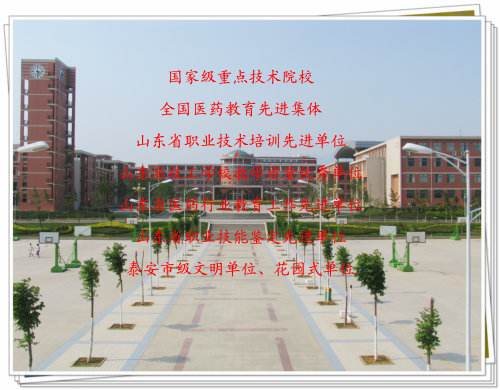 ɽ�|�tˎ�����WԺ�Ľ̌W�|����Σ�