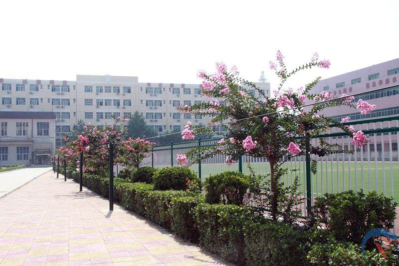 ȥ�R��ˇ�g�WУ�W�赸���I�Æ᣿