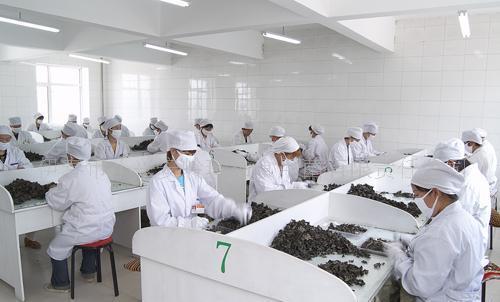 ���_�����܌W�r���aƷ�ӹ����I��