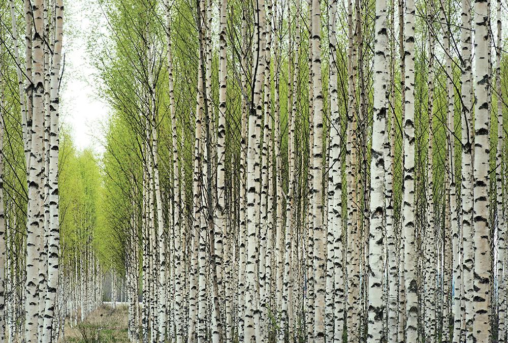 東營貴夫人美容美發婚紗攝影學校:常見的攝影構圖方法你知道嗎? 東營貴夫人美容美發婚紗攝影學校:常見的攝影構圖方法你知道嗎?