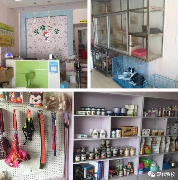 �|�F�������F�t���ތWУ�Æ������I�����ҵ���������