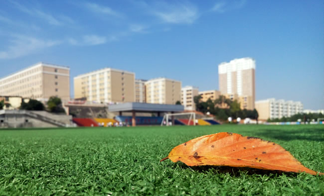 �뵽ɽ�|�f˹�_���F�͘I(y��)�᣿���_���l(xi��ng)���O�WУ�����