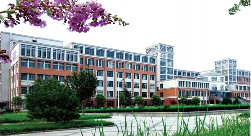 �²��ϼ��g���I�ò��ã�ɽ�|���������WԺ�WУ�������