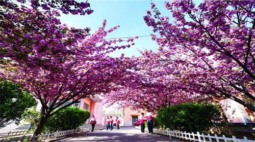 ɽ�|�A���I(y��)�еȌ��I(y��)�W(xu��)У���W(xu��)�;͘I(y��)�б��φ᣿