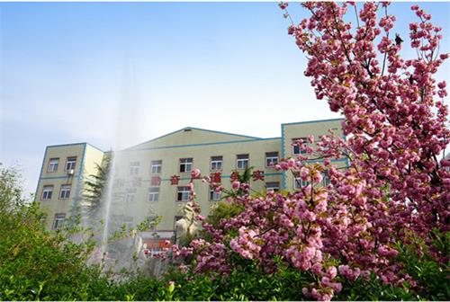 ��ʲô�S��̩���W(xu��)�����x��ɽ�|�A���I(y��)�еȌ��I(y��)�W(xu��)У��