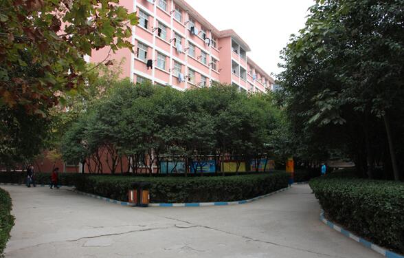 ɽ�|�����ތWԺ�t�W�����߿�����ô�ӣ�ֵ�È󿼆᣿