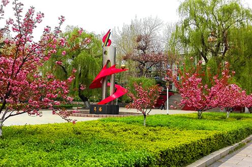 �R�����g(sh��)�W(xu��)Ժ������Щ���c(di��n)���I(y��)��