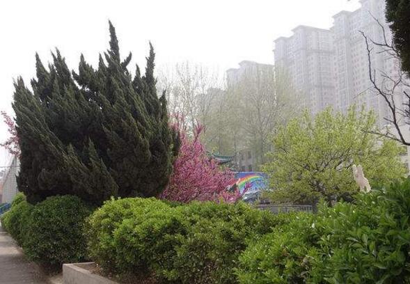 跟著國家政策走!煙臺天虹學院分析教育改革形勢 跟著國家政策走!煙臺天虹學院分析教育改革形勢