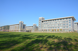 ɽ�|��·�����WԺ