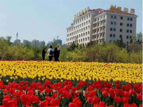 ɽ�|ʡ���з��ռ����WԺ�������Ƶ꼯�F����ɲ��ࡱ�Æ᣿