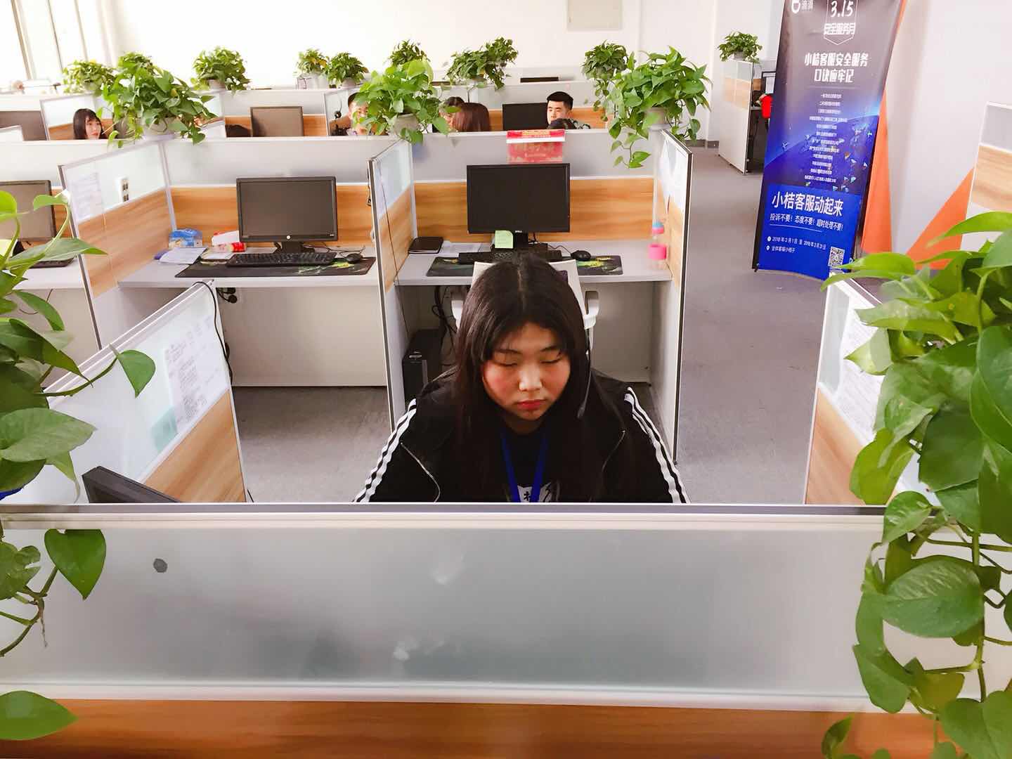 ɽ�|���������I�����WУ�����