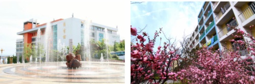 ���u���I���g�WԺ��ô�ӣ�