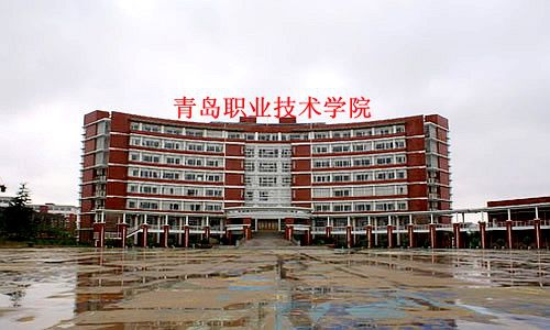 ���u��ʯ���߼������WУ2020����������