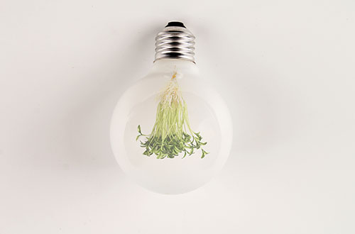 ����l늼��g��ʲô�lչ�������WУ���ԌW����