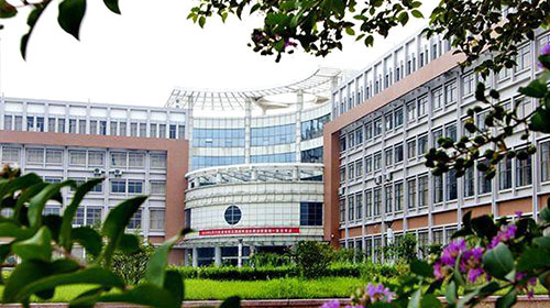 ɽ�|���������W(xu��)Ժ�Ԅӻ�ϵ����ʲô���I(y��)�����I(y��)��ô�ӣ�