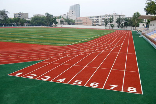 ɽ�|ú̿���g�WԺ�̌W�|����ô�ӣ�