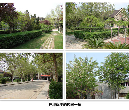 ��������ɭ�����WУУ�@�h���Æ᣿