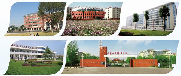 ɽ�|�F���߿�������Ӗ�����ṩס�ކ᣿