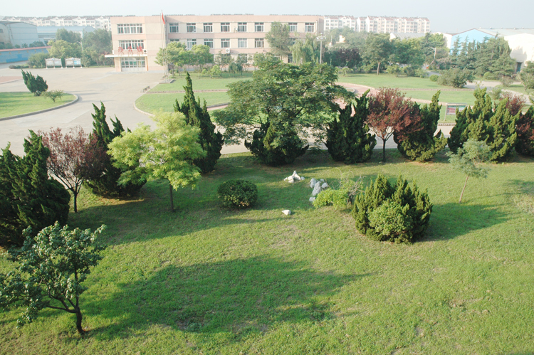 ɽ�|���ڵV�I���F�߼������WУ��ǻ�t�W�܅����̸߿��᣿