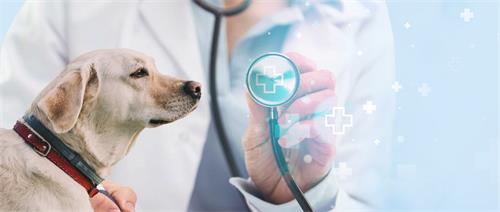 �F�t�ИI�F�ڸ������҆᣿