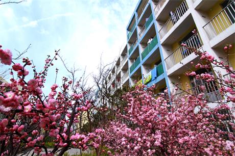 ���u���I���g�WԺ�ò�������ʲô������