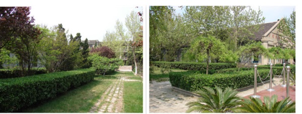 ��������ɭ�����WУ2022����������