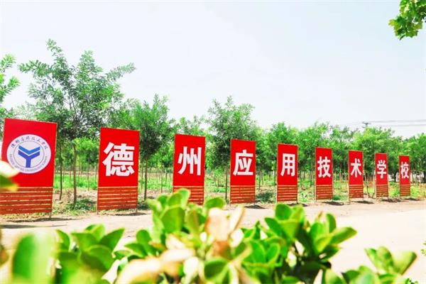 德州哪所學校開設了工業機器人專業? 德州哪所學校開設了工業機器人專業?
