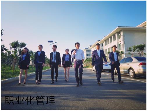 淄博職業學院有哪些優勢? 淄博職業學院有哪些優勢?