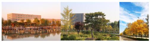 ɽ�|�����I(y��)�W(xu��)Ժ���V�᣿