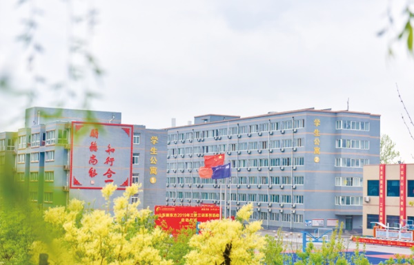 ���������WУ�_�O���в͌��I��