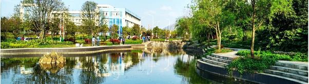 ɽ�|�����ތWԺ�t�W�����߿���Æ᣿