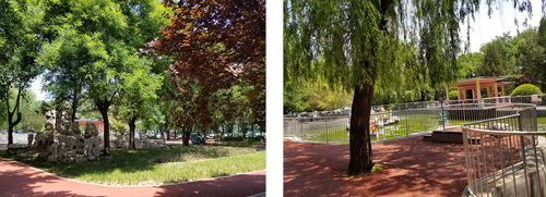 �Ͳ������WУ�O���L��\�S���̎����I��