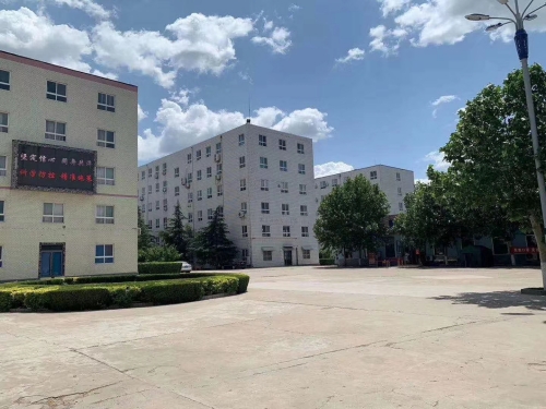 ������������ʲô���� 